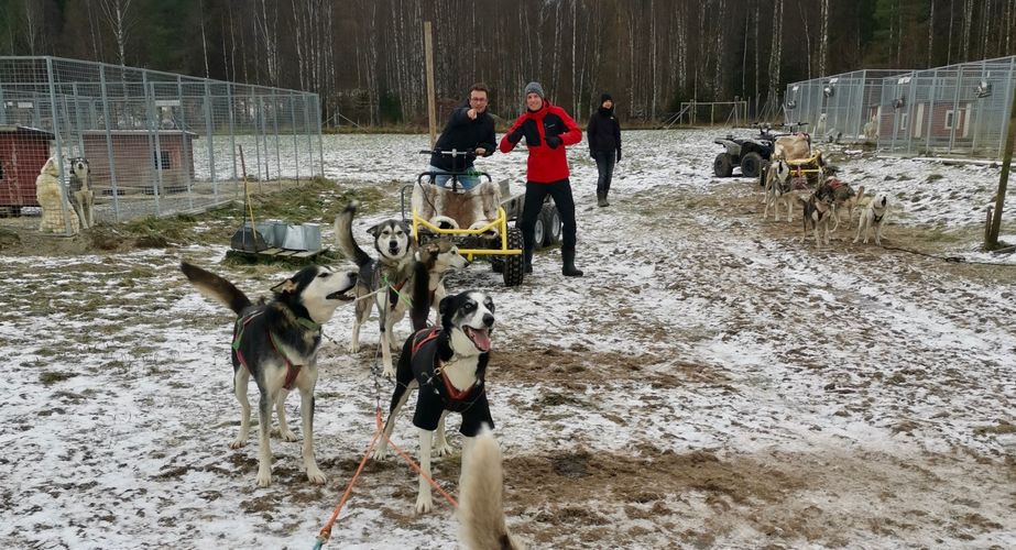 Klaar voor de husky rit